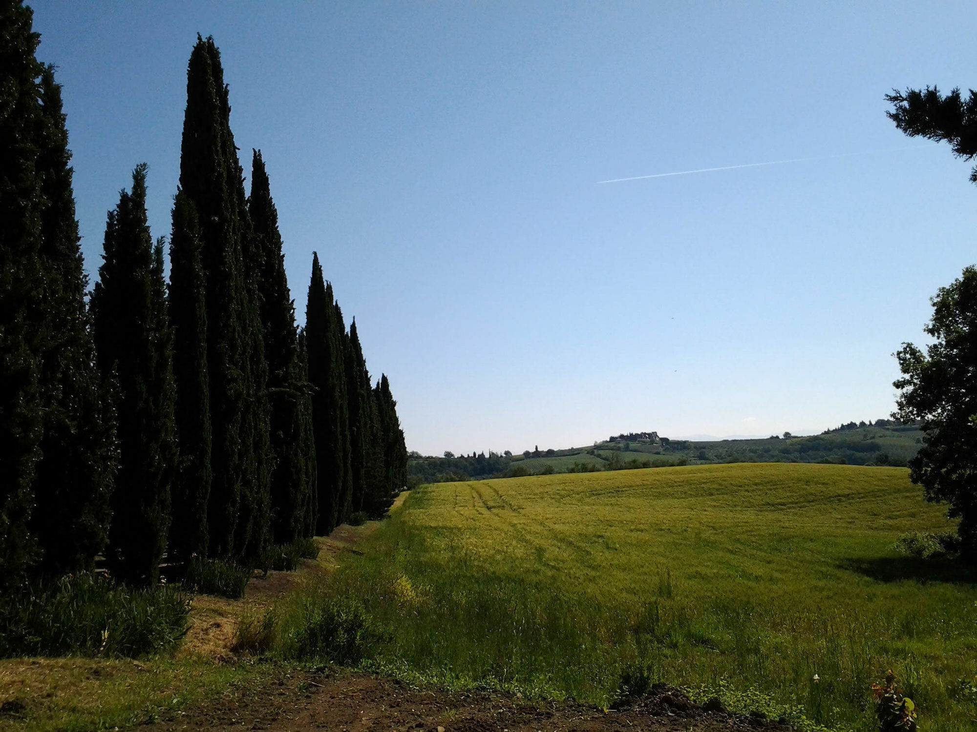 Villa Albertina Montespertoli Buitenkant foto